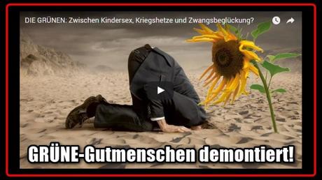 [ BUCHTIPP! } „Die Grünen: Zwischen Kindersex, Kriegshetze und Zwangsbeglückung!“