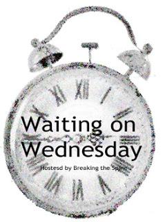 [WoW] Waiting on Wednesday # 35: 1001 zauberhafter Wunsch