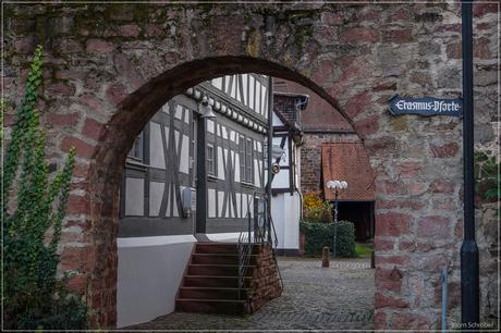 Unterwegs zum Schloss Erbach | Teil 1 (2)