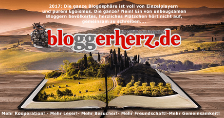Bloggerherz.de nach Hackerangriff wieder eröffnet!