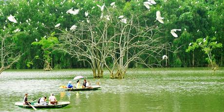 Reisetipps für Ninh Binh: Thung Nham Vogelpark