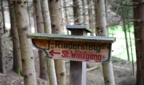 Wolfgangweg Teil 2 – vom Falkenstein nach St. Wolfgang