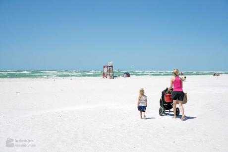 Fort de Soto State Park, St. Pete & Clearwater Beach
