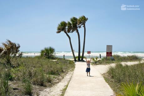 Fort de Soto State Park, St. Pete & Clearwater Beach