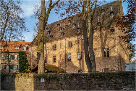 Schloss Erbach | Teil 2 (2)