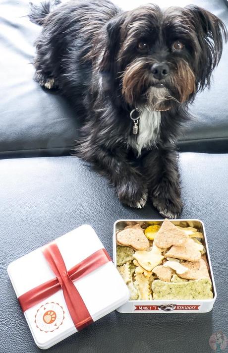 Marli’s Keksdose – der Online Shop für Hundebedarf und Hundekekse im Test