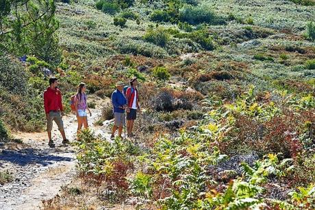 Wonne plus Sonne: Im Mai in Portugals Natur-Paradies