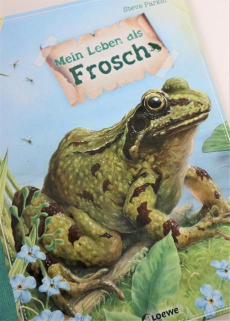 Projekte mit Grundschulkindern // Der Frosch