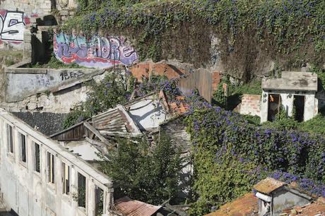 Porto blüht auf: Gründer und Touristen bringen neues Leben in Portos alte Mauern