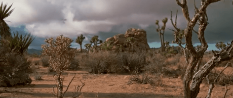 Floating Points – Silurian Blue // erstes Video aus dem Kurzfilm und Soundtrack ‚REFLECTIONS – MOJAVE DESERT‘