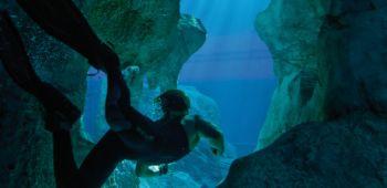 Top 5 Unterwasserfilme zum Start von ‘Sanctum 3D’