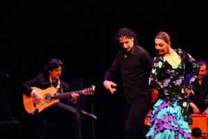 2. stuttgarter flamenco-festival