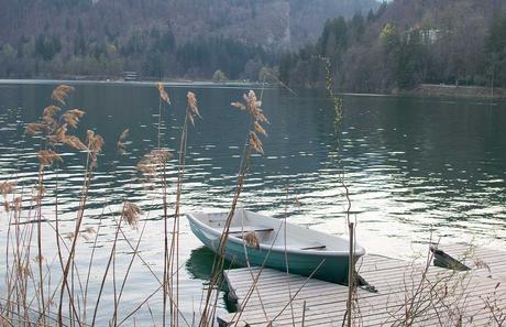 Ausflug zur Insel am See in Bled
