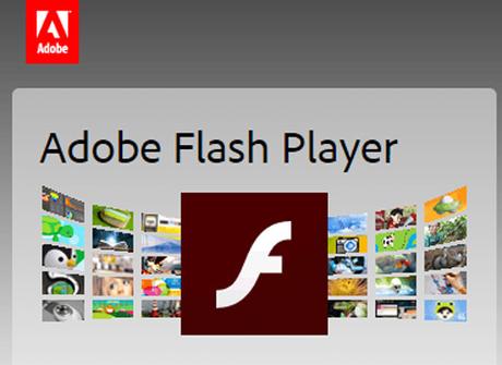 Adobe Flash Player Update: So geht’s