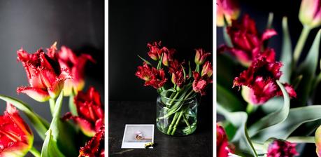 fim.works | Lifestyle Blog | dunkelrote Tulpen, Fransentulpen, Floristik, Blumen