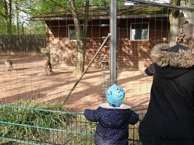Frühling im Zoo Dresden