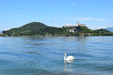 03_Uferpromenade-Burg-Angera-Schwan-Arona-Lago-Maggiore-Italien