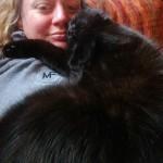 Umarme-Deine-Katze-Tag – der amerikanische Hug Your Cat Day