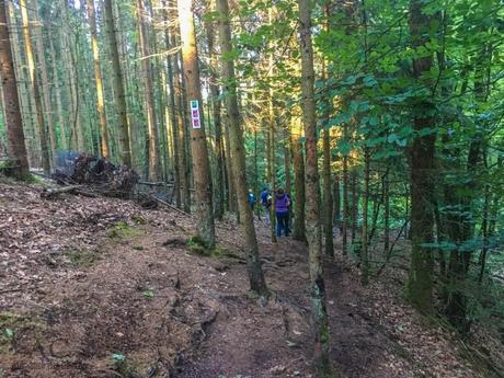 8. Wandermarathon auf dem Saar-Hunsrück-Steig – Wandern auf drei Etappen