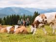 Gipfelklänge 2017:Mit der Kuh auf du und du   © Mostviertel Tourismus/Fred Lindmoser 