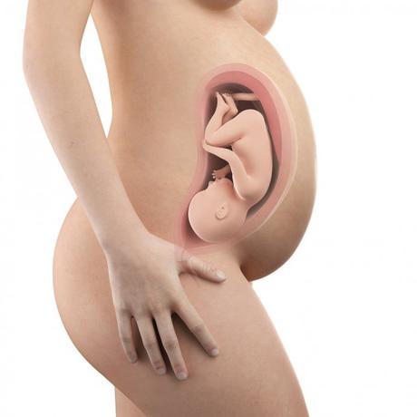 36. SSW (Schwangerschaftswoche): Dein Baby, dein Körper, Beschwerden und mehr