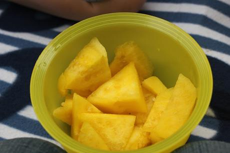 Summer Picknick Jam - gelbe Melone