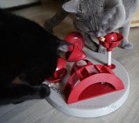 Cats Garden Intelligenzspielzeug || Futterplatz.de
