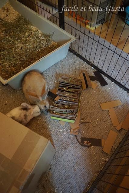 Schnüffel-Erlebnis-Kratz-Brett für Kaninchen