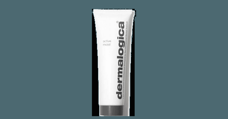dermalogica Active Moist normale bis fettige Haut dermalogica Active Moist normale bis fettige Haut