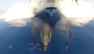Wale an Menschen: Lasst uns in Ruhe!