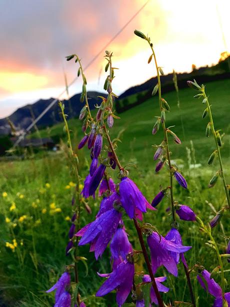Tirol: Ayurveda in den Bergen Tirol: Ayurveda in den Bergen