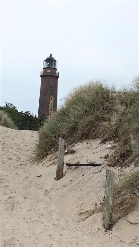 Ostsee mit Kindern // Von Urwald, Strohburgen und Windflüchtern: Jugendherbergstour 2. Station: Born auf dem Darß Ostsee mit Kindern // Von Urwald, Strohburgen und Windflüchtern: Jugendherbergstour 2. Station: Born auf dem Darß