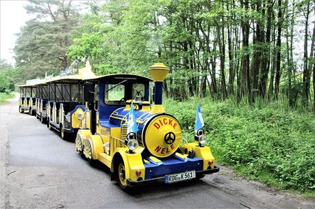 Ostsee mit Kindern // Von Urwald, Strohburgen und Windflüchtern: Jugendherbergstour 2. Station: Born auf dem Darß Ostsee mit Kindern // Von Urwald, Strohburgen und Windflüchtern: Jugendherbergstour 2. Station: Born auf dem Darß