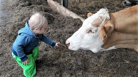 Ostsee mit Kindern // Von Urwald, Strohburgen und Windflüchtern: Jugendherbergstour 2. Station: Born auf dem Darß Ostsee mit Kindern // Von Urwald, Strohburgen und Windflüchtern: Jugendherbergstour 2. Station: Born auf dem Darß