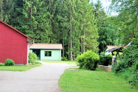 Ostsee mit Kindern // Von Urwald, Strohburgen und Windflüchtern: Jugendherbergstour 2. Station: Born auf dem Darß Ostsee mit Kindern // Von Urwald, Strohburgen und Windflüchtern: Jugendherbergstour 2. Station: Born auf dem Darß