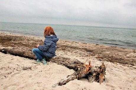 Ostsee mit Kindern // Von Urwald, Strohburgen und Windflüchtern: Jugendherbergstour 2. Station: Born auf dem Darß Ostsee mit Kindern // Von Urwald, Strohburgen und Windflüchtern: Jugendherbergstour 2. Station: Born auf dem Darß
