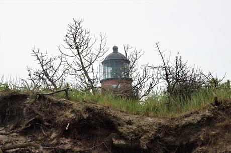 Ostsee mit Kindern // Von Urwald, Strohburgen und Windflüchtern: Jugendherbergstour 2. Station: Born auf dem Darß Ostsee mit Kindern // Von Urwald, Strohburgen und Windflüchtern: Jugendherbergstour 2. Station: Born auf dem Darß