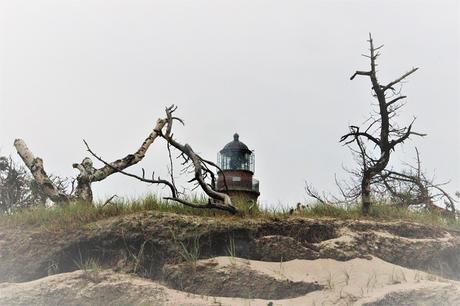 Ostsee mit Kindern // Von Urwald, Strohburgen und Windflüchtern: Jugendherbergstour 2. Station: Born auf dem Darß Ostsee mit Kindern // Von Urwald, Strohburgen und Windflüchtern: Jugendherbergstour 2. Station: Born auf dem Darß