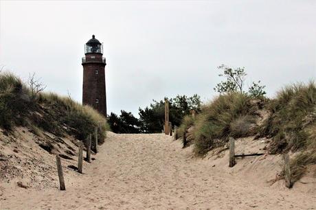 Ostsee mit Kindern // Von Urwald, Strohburgen und Windflüchtern: Jugendherbergstour 2. Station: Born auf dem Darß Ostsee mit Kindern // Von Urwald, Strohburgen und Windflüchtern: Jugendherbergstour 2. Station: Born auf dem Darß