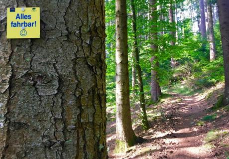 Zwei Meter-Regel für Mountainbikes in Baden-Württemberg