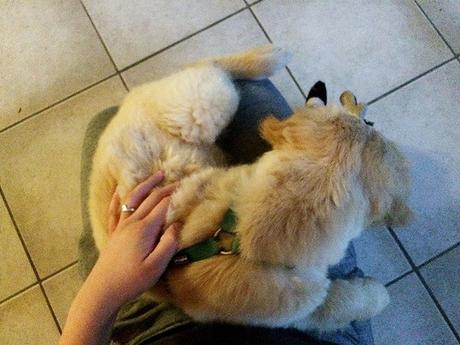 12 von 12 im August 12 von 12 im August