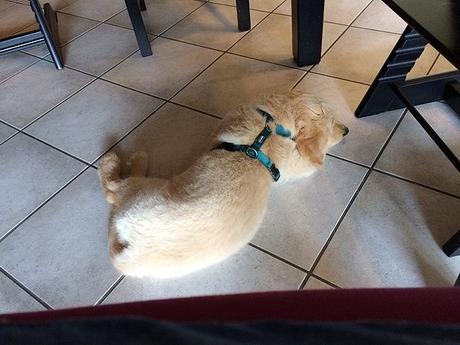 12 von 12 im August 12 von 12 im August