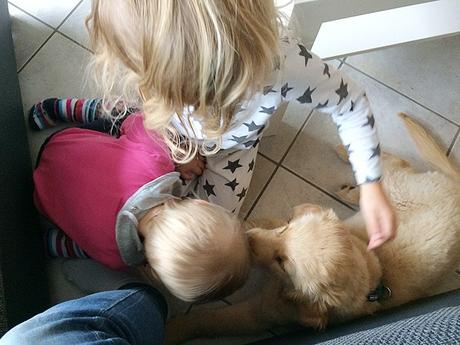 12 von 12 im August 12 von 12 im August