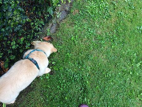 12 von 12 im August 12 von 12 im August