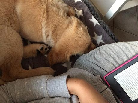 Unser Wochenende in Bildern – 26./27. August Unser Wochenende in Bildern – 26./27. August