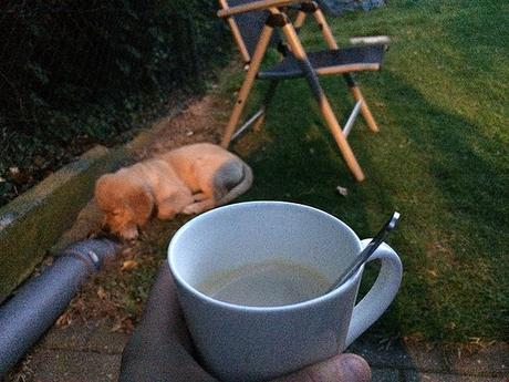 Unser Wochenende in Bildern – 26./27. August Unser Wochenende in Bildern – 26./27. August