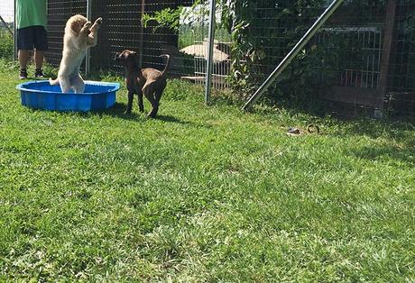 Unser Wochenende in Bildern – 26./27. August Unser Wochenende in Bildern – 26./27. August