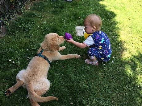 Unser Wochenende in Bildern – 26./27. August Unser Wochenende in Bildern – 26./27. August