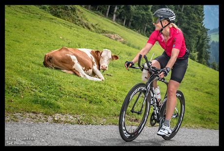 Radsporturlaub im Kaiserwinkl – Touren rund um den Walchsee Radsporturlaub im Kaiserwinkl – Touren rund um den Walchsee