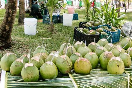 Kuriose Feiertage 2. September Internationaler Tag der Kokosnuss – World Coconut Day 2017 Diemtar Giese-2